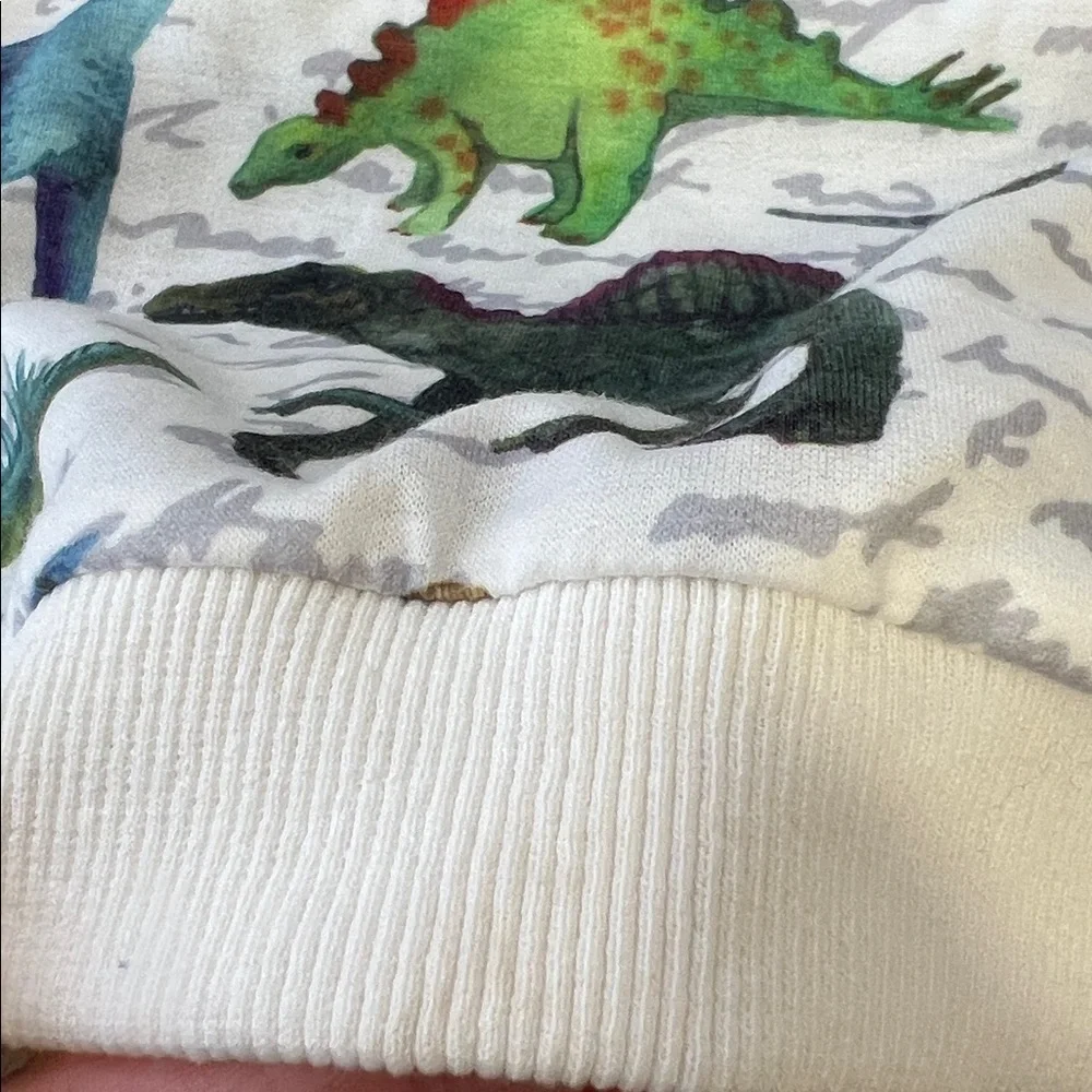 Lola + the boys dinosaur print short sleeve sweatshirt unisex 10 years crewneck